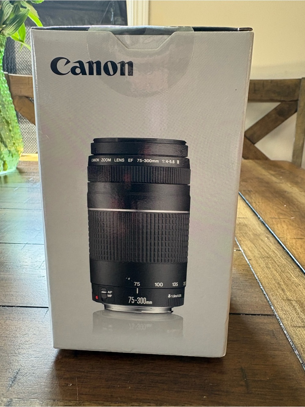 Canon Black EF 75-300mm Zoom Lens (Boxed Packaging)